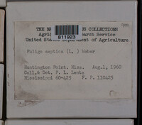 Image Associated With the Occurence